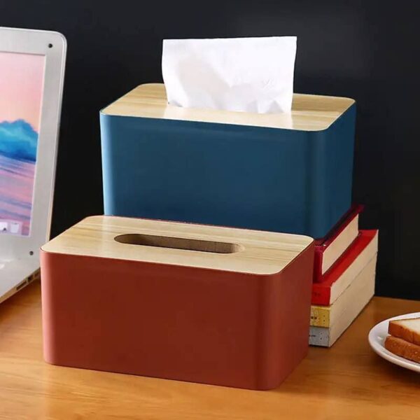 Tissue holder