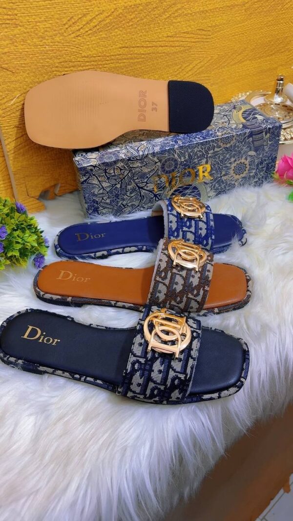 Dior slippers