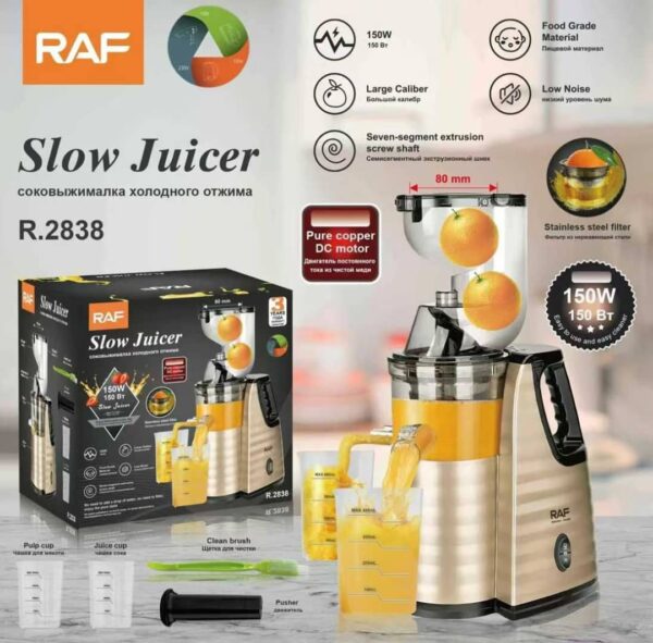 RAF gold slow juicer