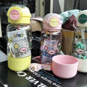 Bottle 6 680mls