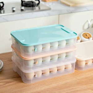Egg storage box