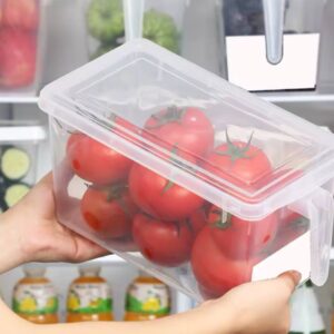 Fridge container plastic
