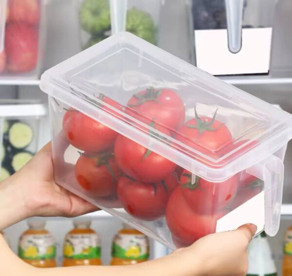 Fridge container plastic