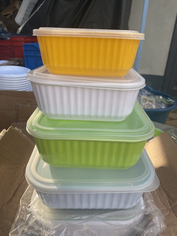4 in 1 fridge container